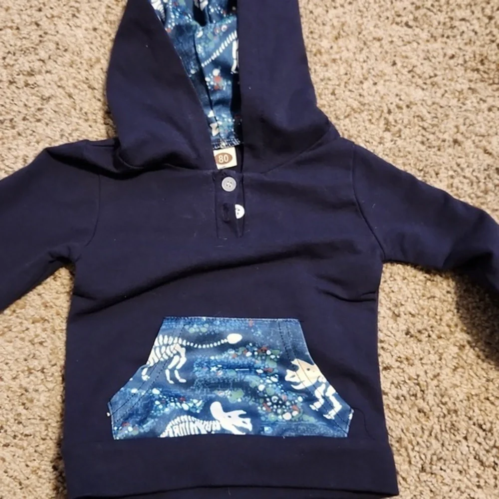 Boys Two Piece Matching‎ Dinosaur Jogging Suit